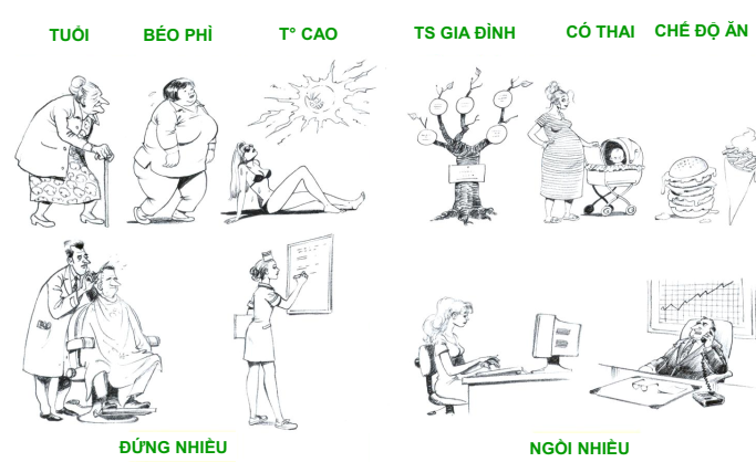 benh suy tinh mach chi duoi man tinh3