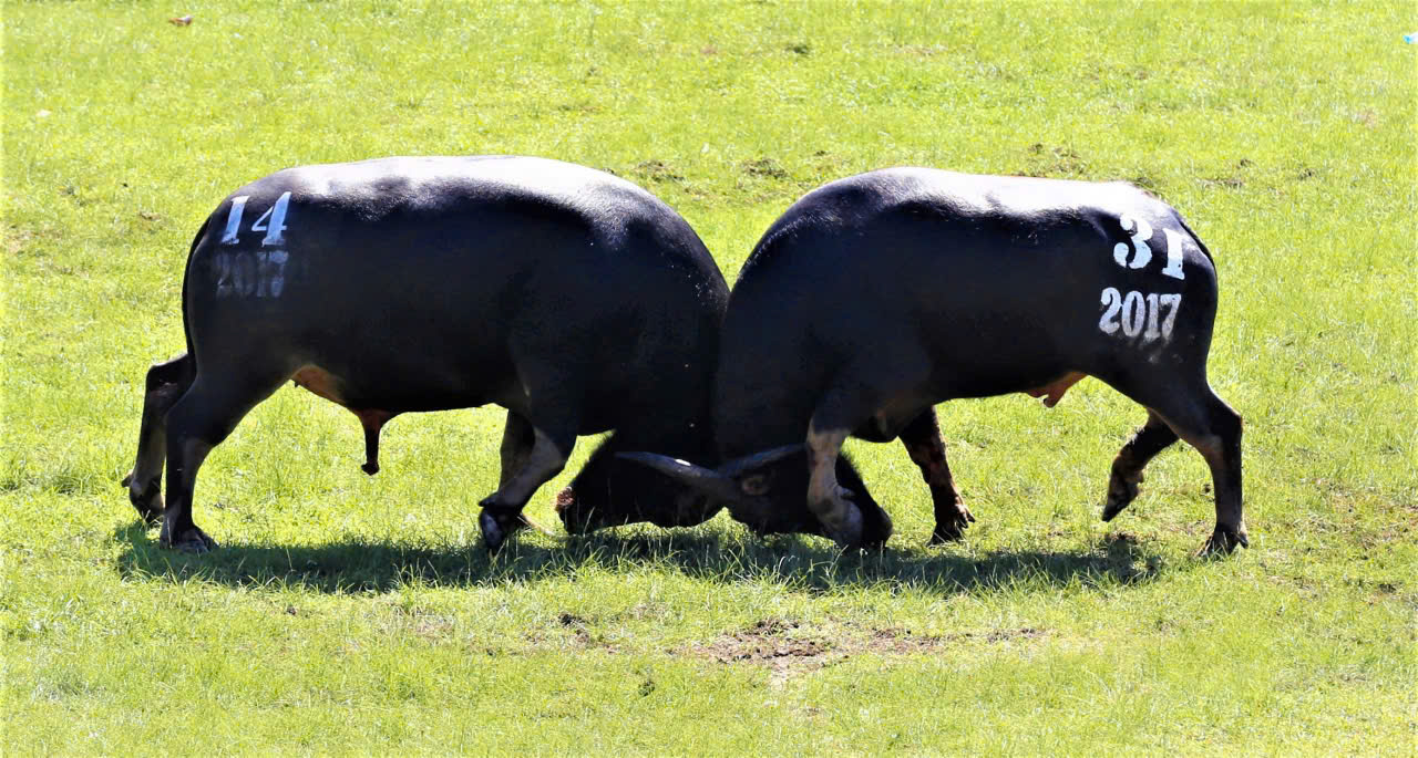 z6346241914123 575c6af4d19011377e1459f9e6d6d49b