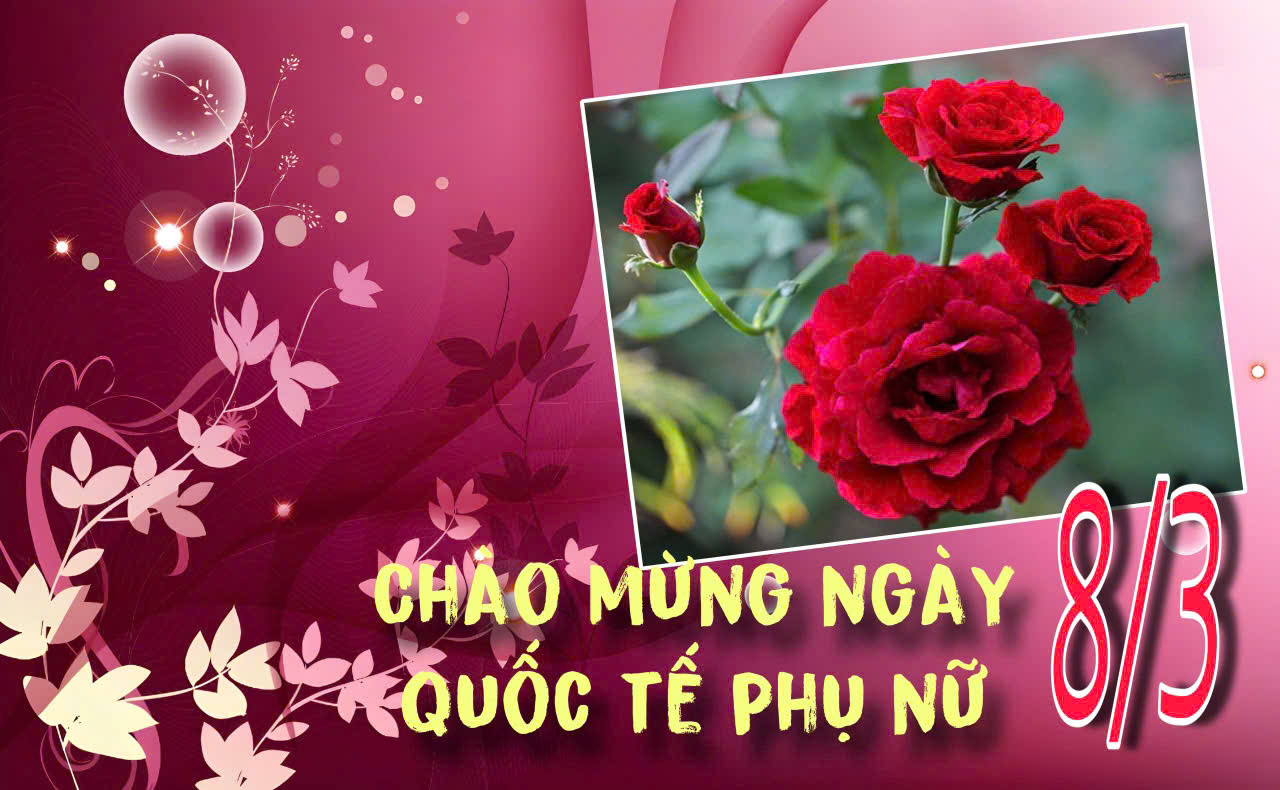 CHÚC MỪNG NGÀY QUỐC TẾ PHỤ NỮ 8/3