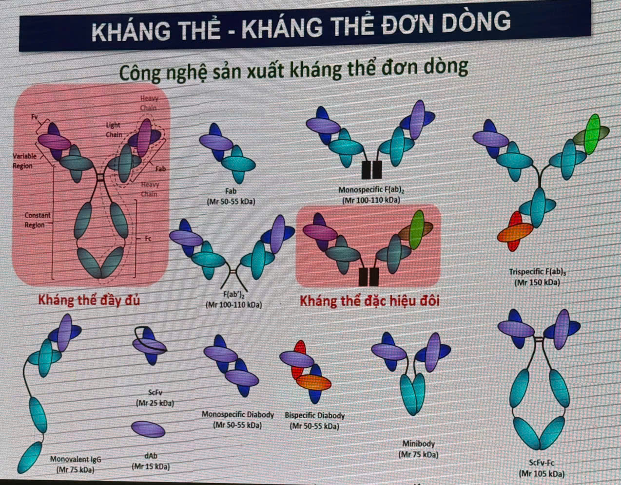 z6517651846909 4320e61386807bd3c449b7929a705a06