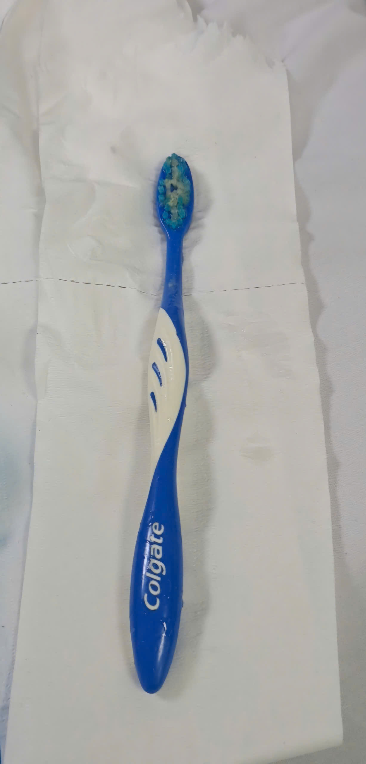 di vat khong the ngo ban chai dang rang trong thuc quan 1